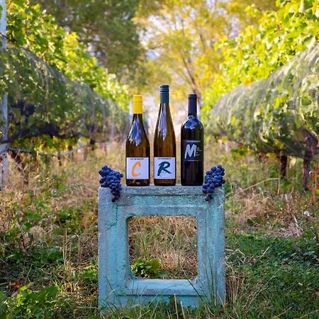 Crowsnest Vineyards Guesthouse Keremeos Exterior foto